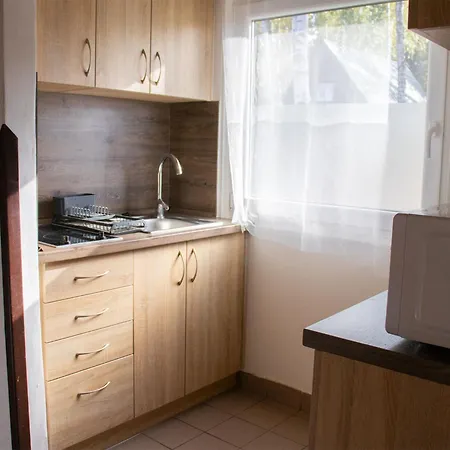Stribrny Rybnik-10 By Interhome Hradec Kralove