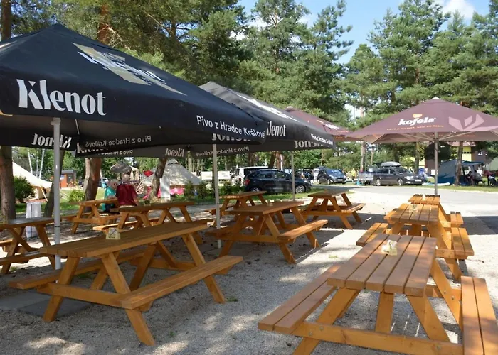 Stribrny Rybnik-10 By Interhome Hradec Králové