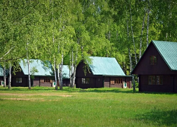 Stribrny Rybnik-10 By Interhome